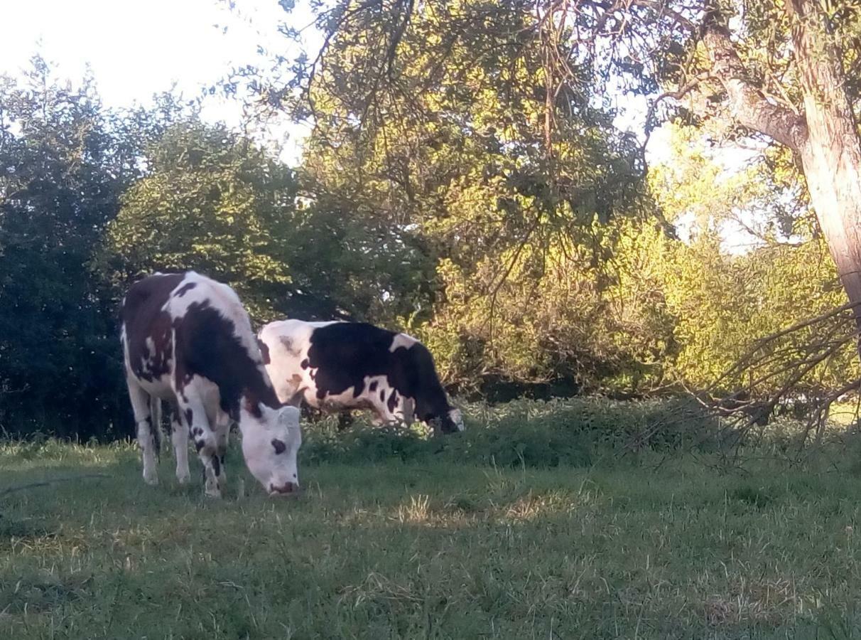 Le Gite Du Chene Rouvre Corbeil-Cerf Exterior foto